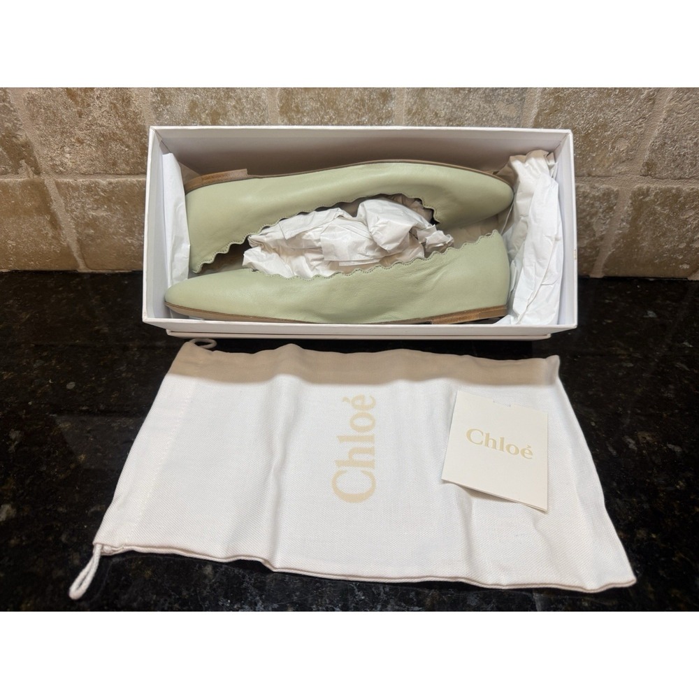 NEW In Box Chloé Lauren Leather Ballerina Flats in Hazy Green Size 40 Italy Made